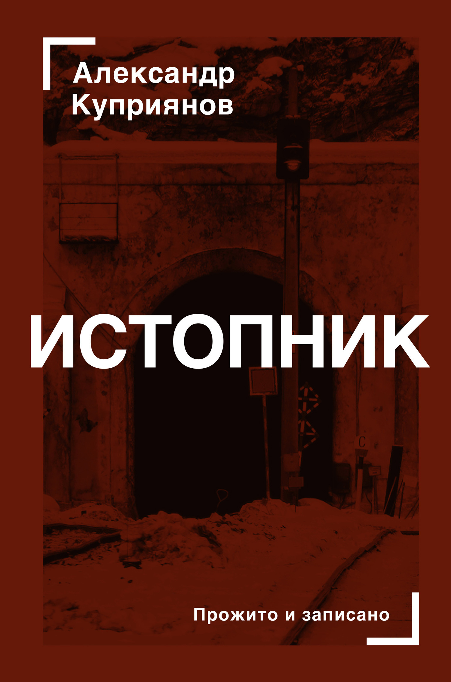 Обложка книги «Истопник»