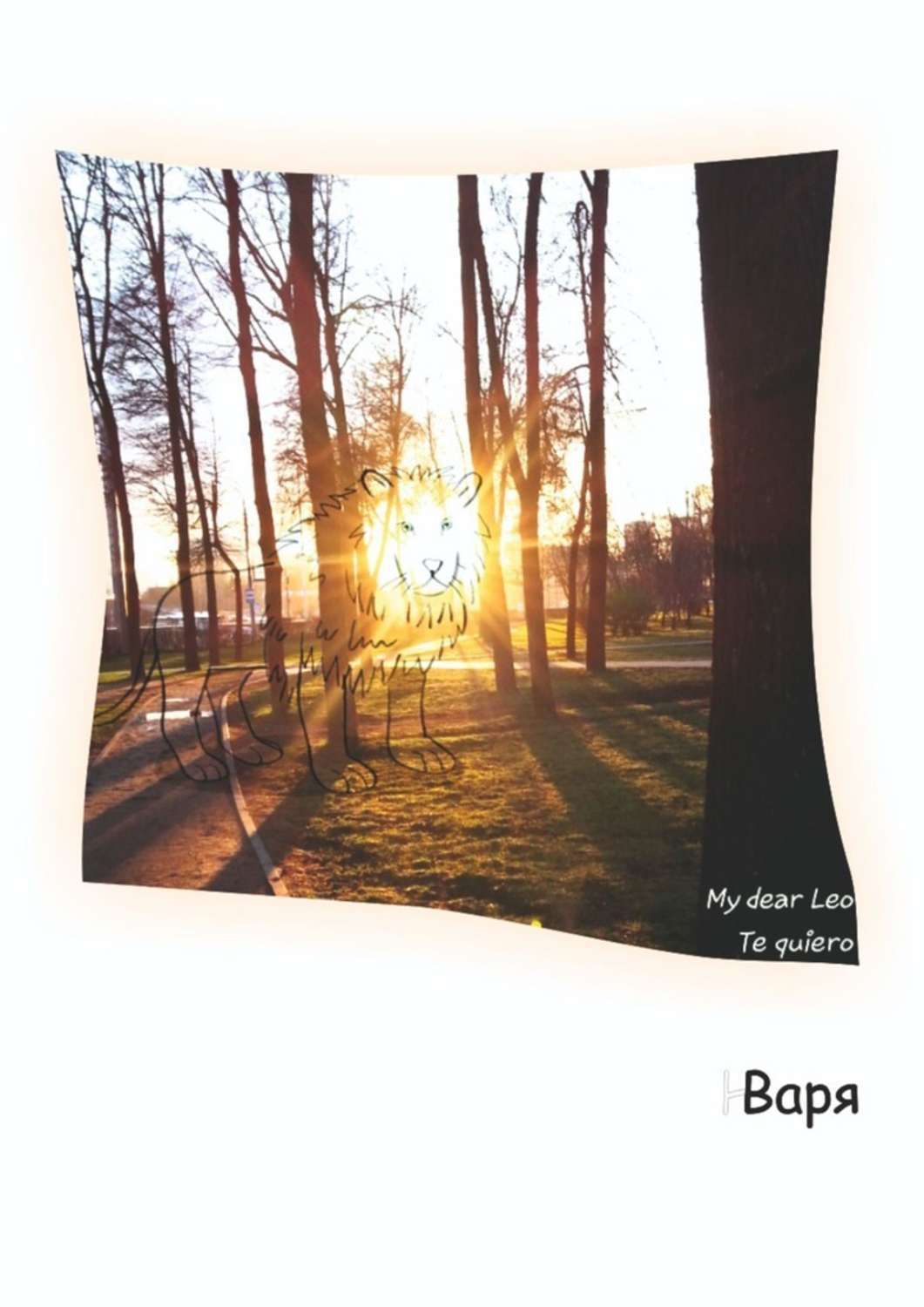 Обложка книги «My dear Leo, te quiero»