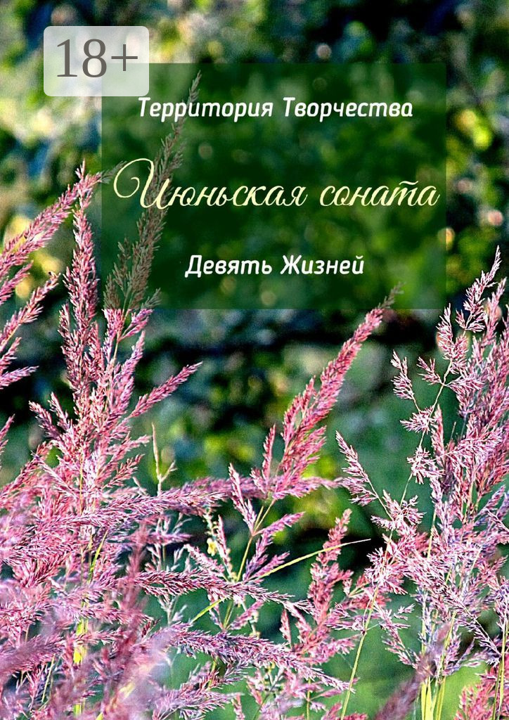 Обложка книги «Июньская соната. Девять Жизней»
