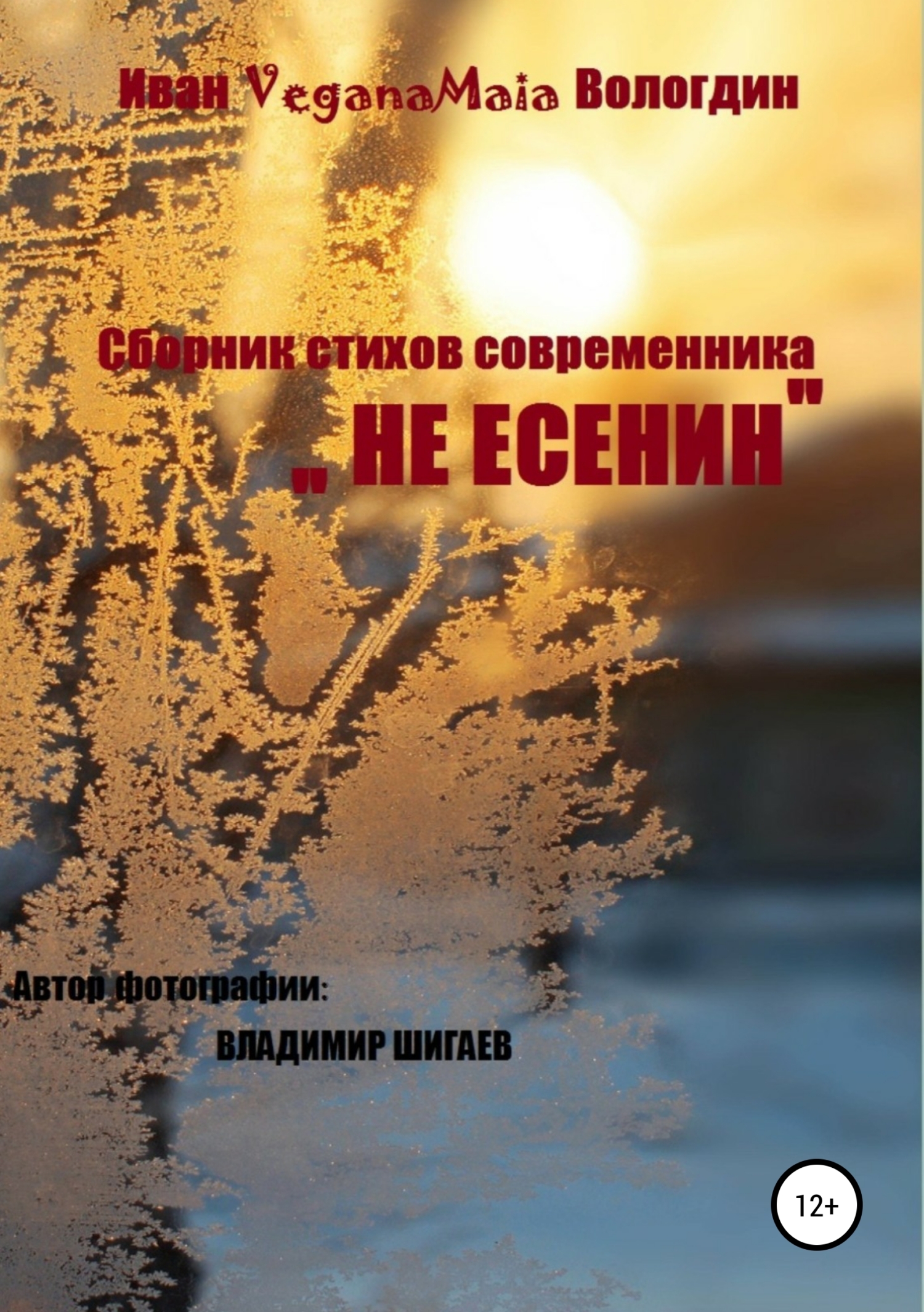 Обложка книги «Не Есенин»