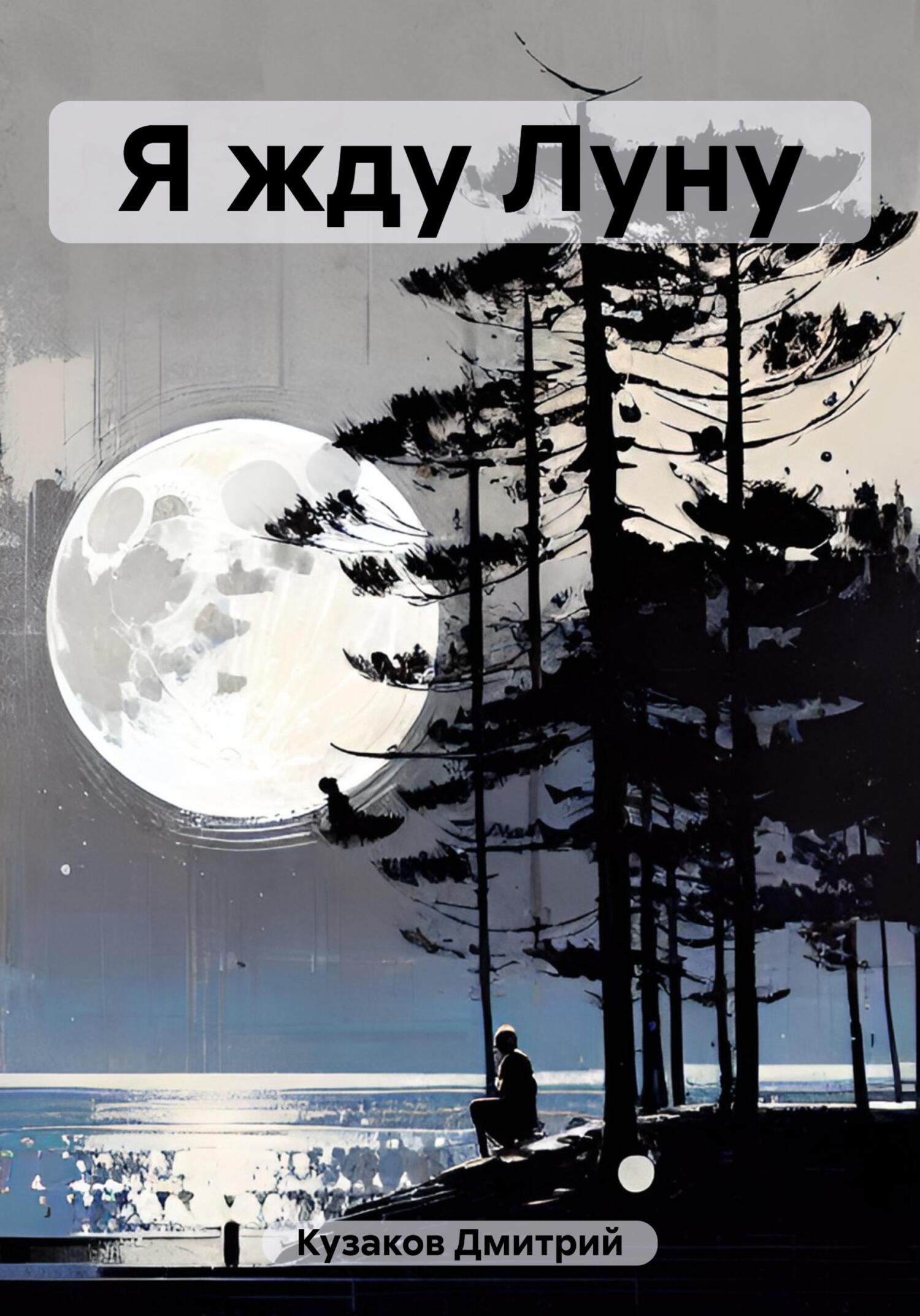 Обложка книги «Я жду Луну»