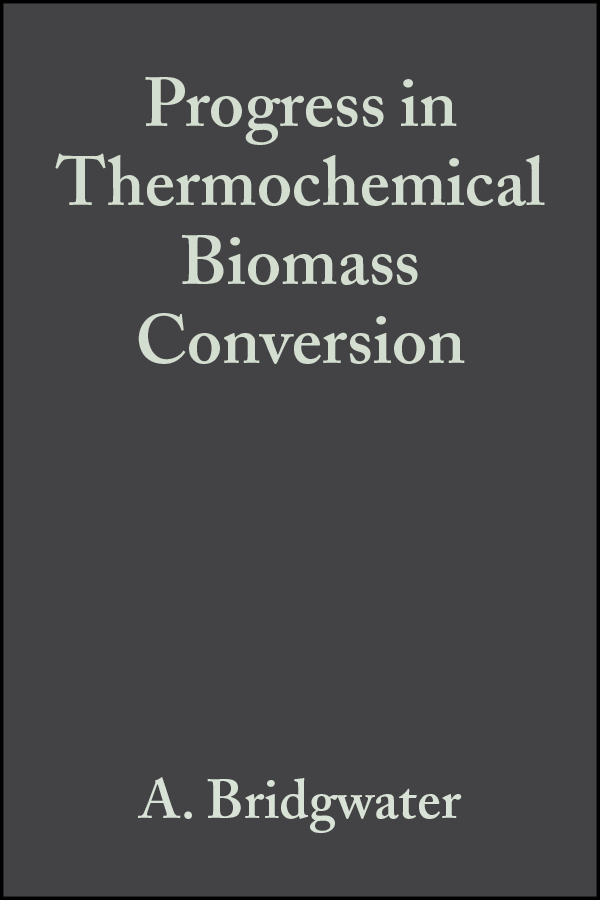 Обложка книги «Progress in Thermochemical Biomass Conversion»