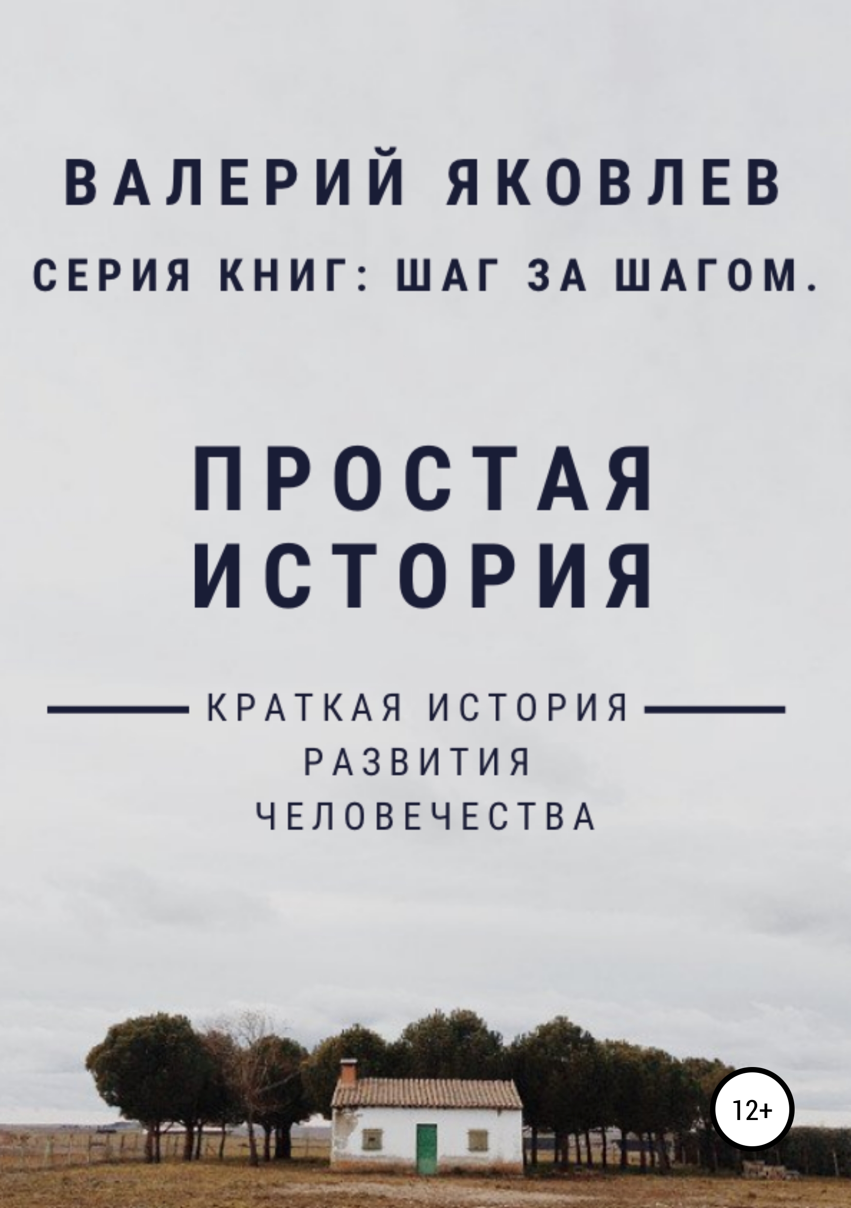 Обложка книги «Простая история»