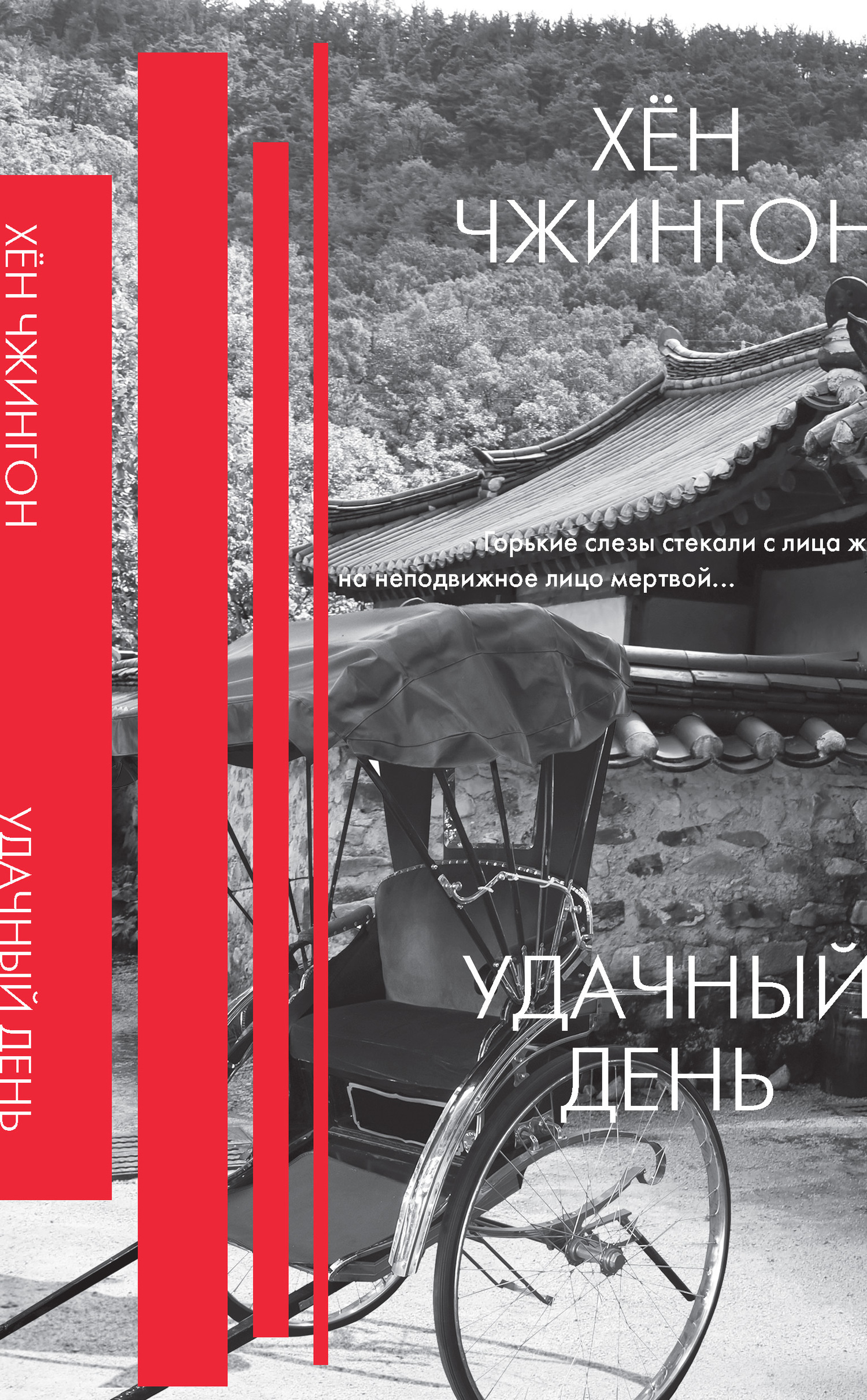 Обложка книги «Удачный день»