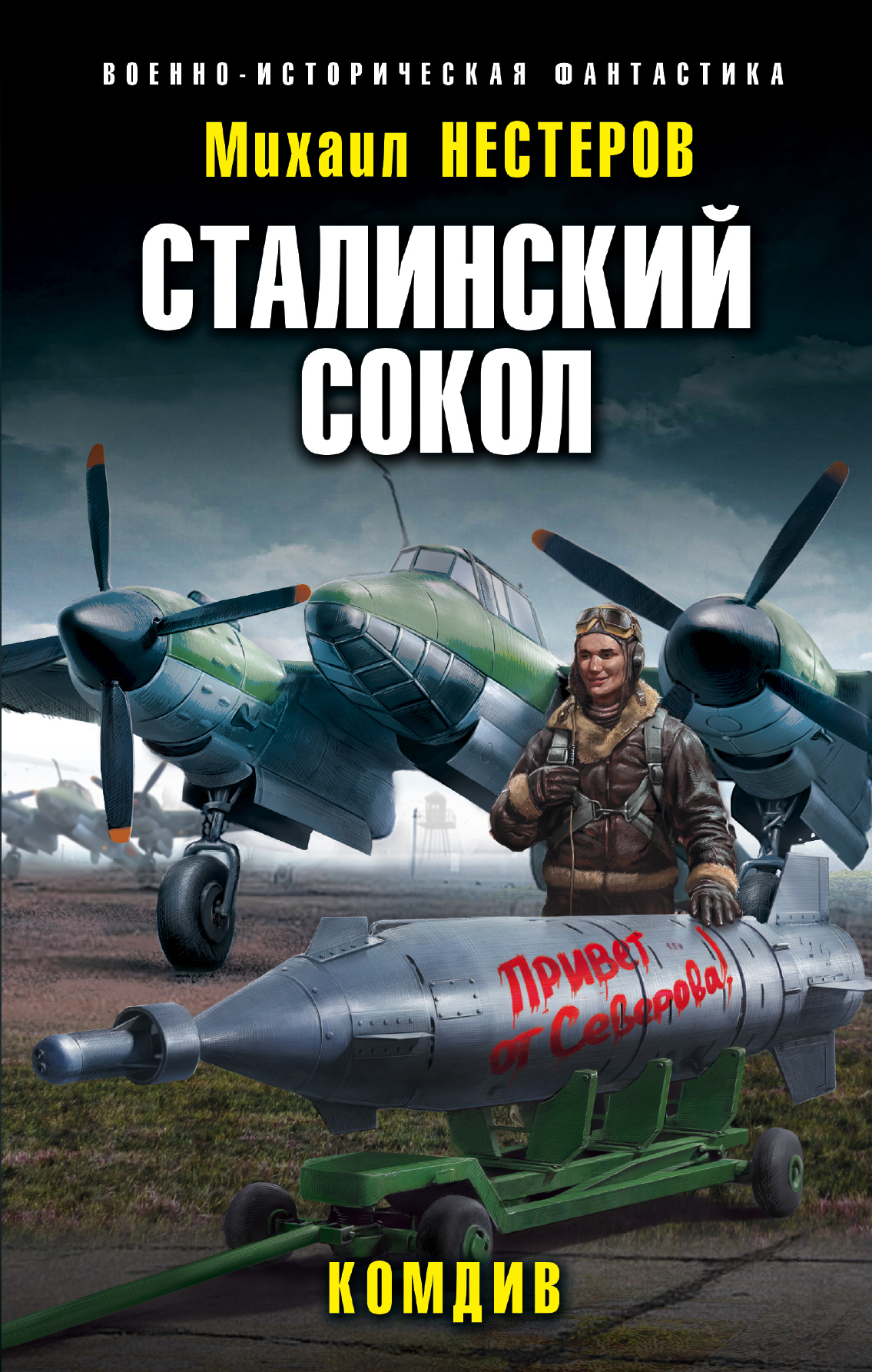 Обложка книги «Сталинский сокол. Комдив»