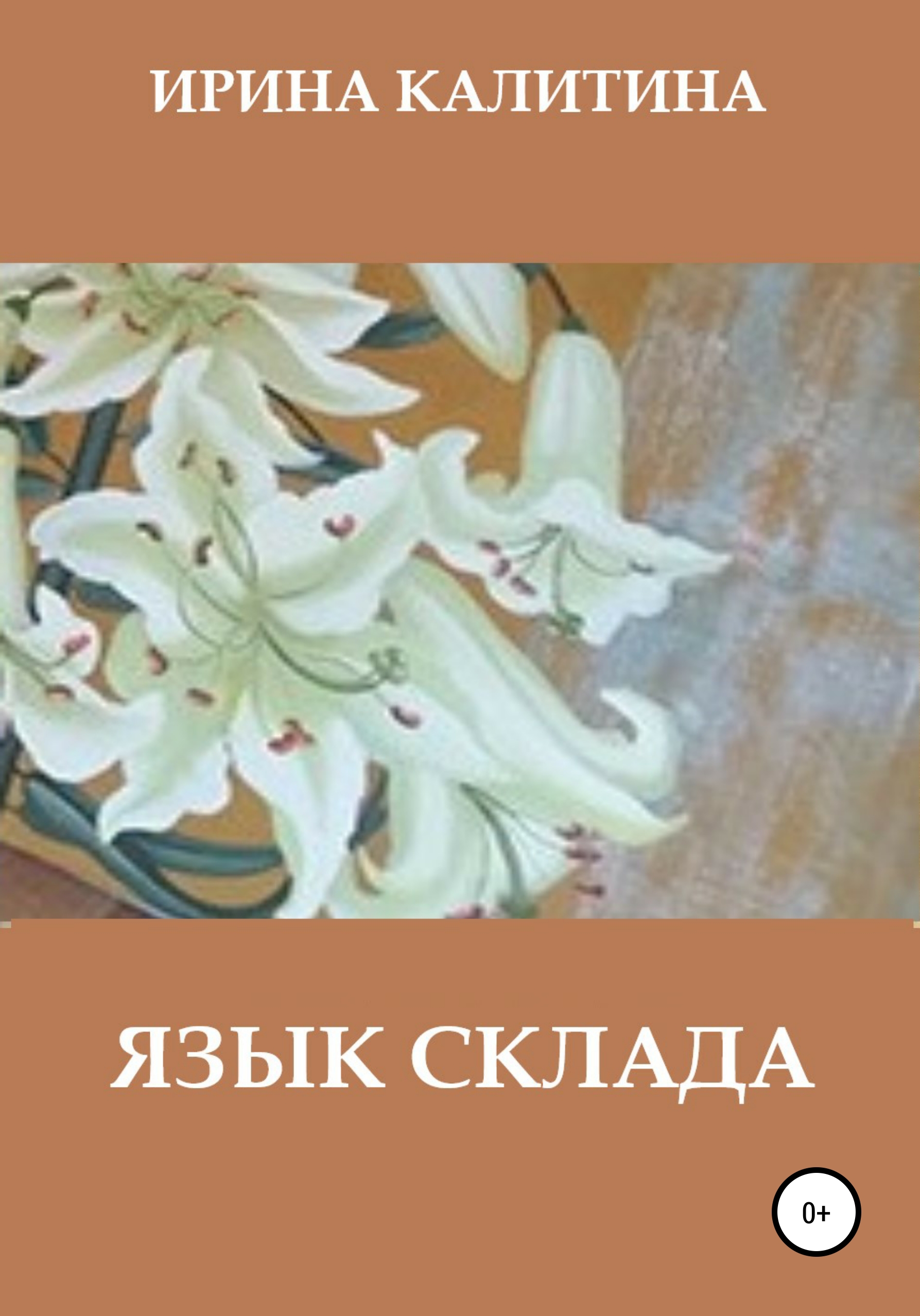 Обложка книги «Язык склада»