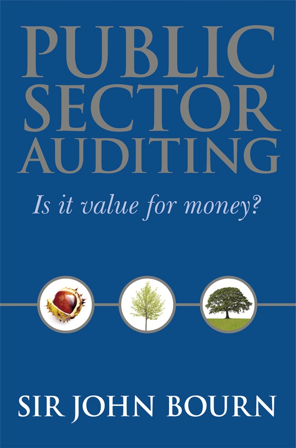 Обложка книги «Public Sector Auditing»