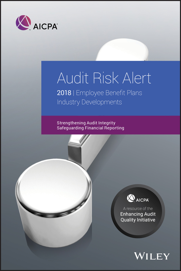 Обложка книги «Audit Risk Alert»