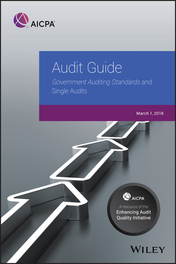 Обложка книги «Audit Guide»