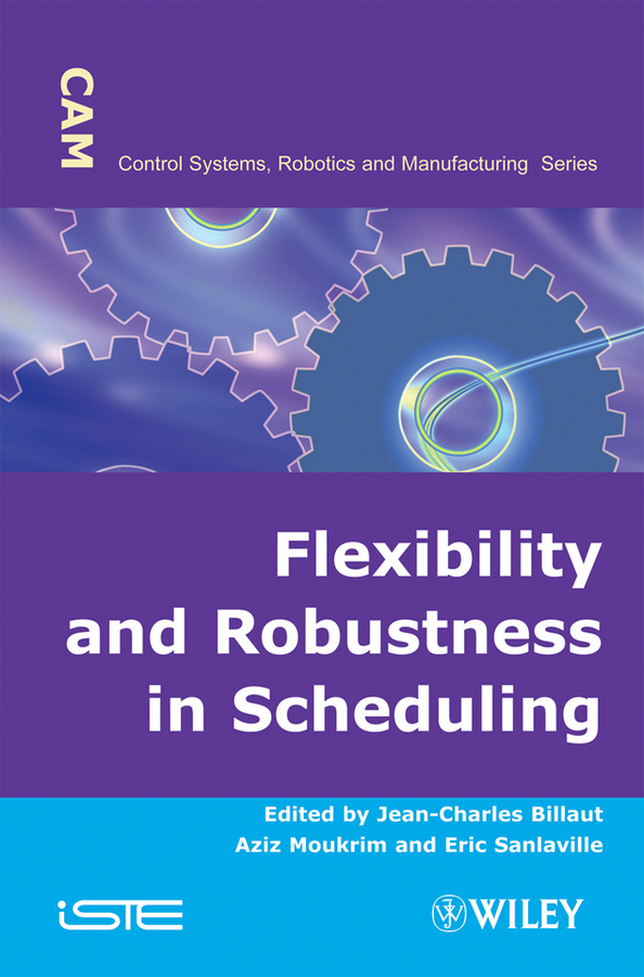 Обложка книги «Flexibility and Robustness in Scheduling»