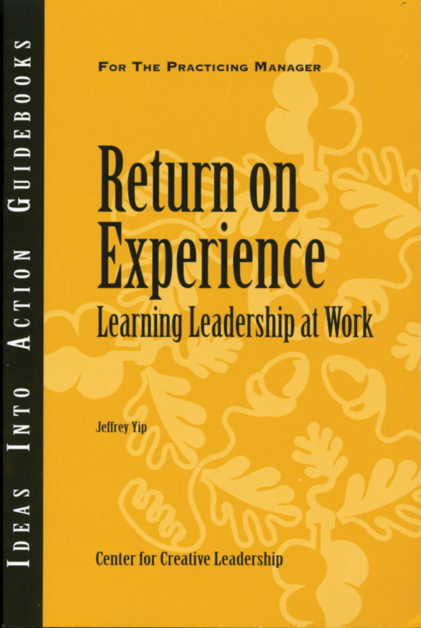 Обложка книги «Return on Experience»