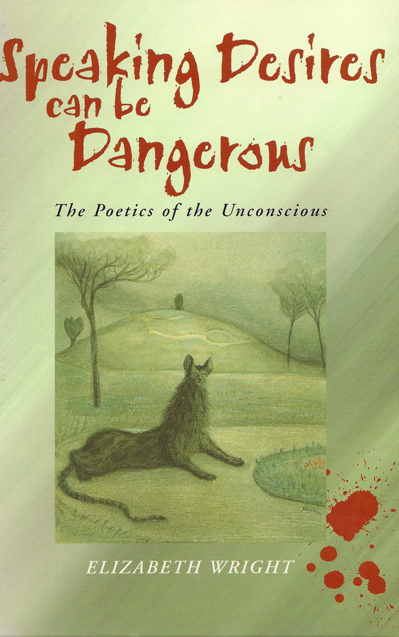 Обложка книги «Speaking Desires can be Dangerous»
