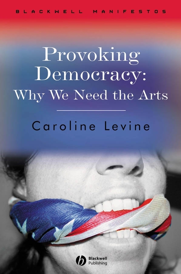 Обложка книги «Provoking Democracy»