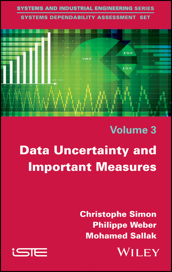 Обложка книги «Data Uncertainty and Important Measures»