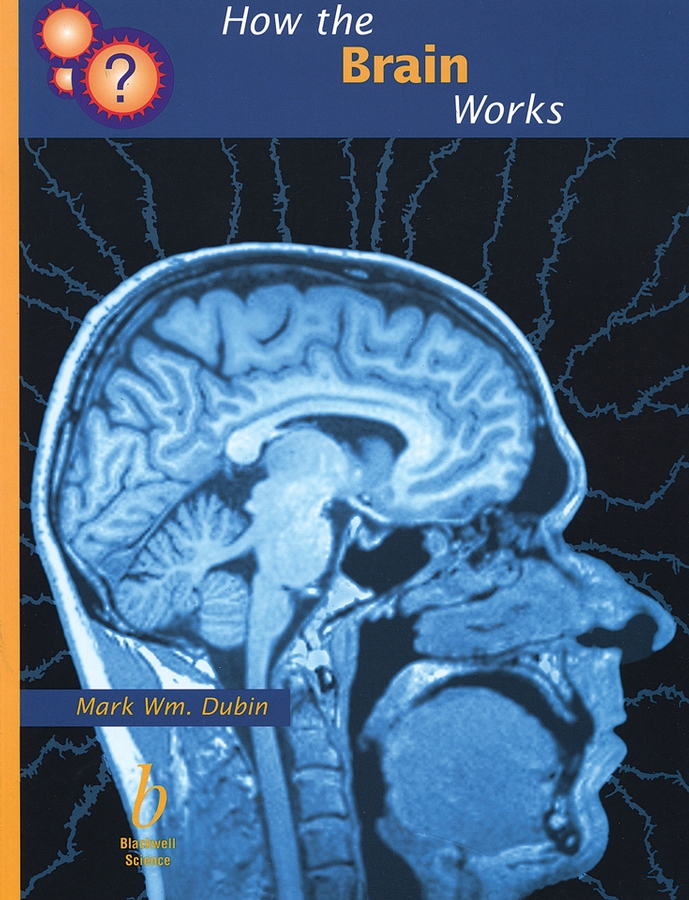 Обложка книги «How the Brain Works»