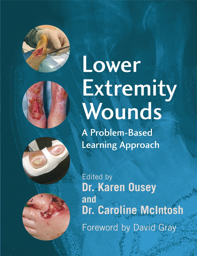 Обложка книги «Lower Extremity Wounds»