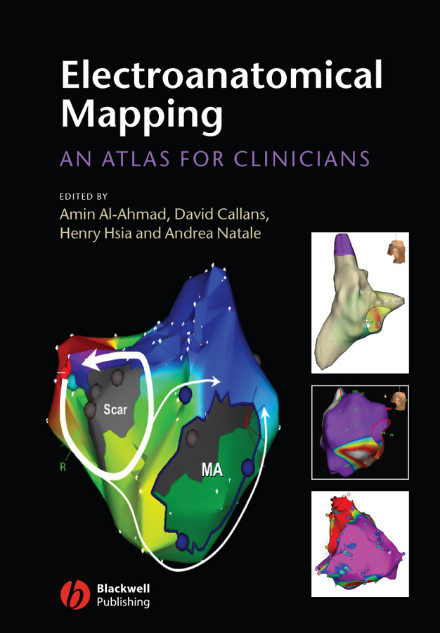 Обложка книги «Electroanatomical Mapping»