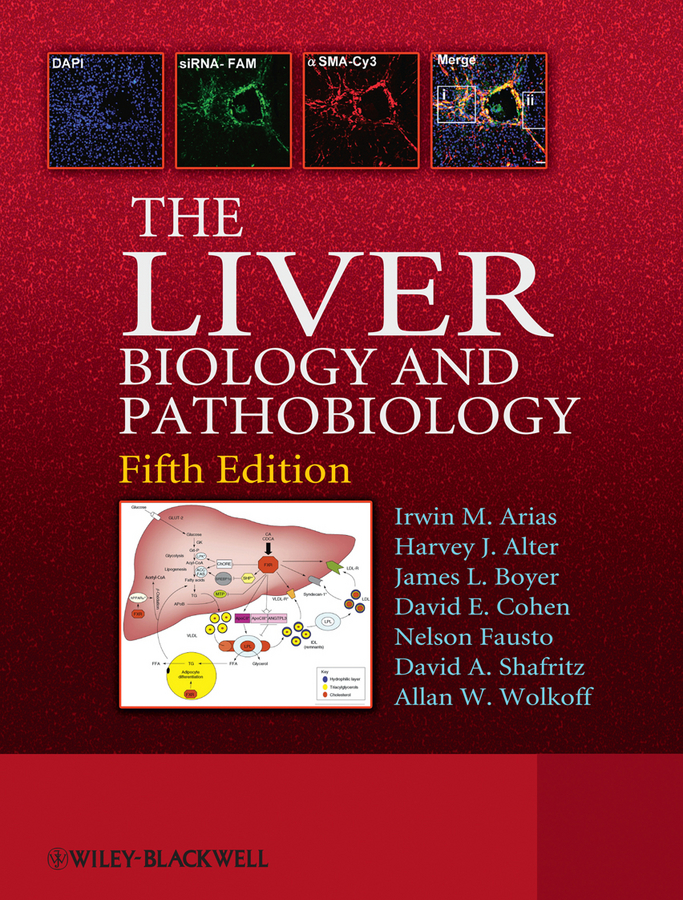 Обложка книги «The Liver»