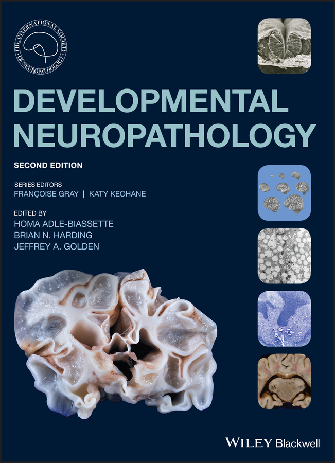 Обложка книги «Developmental Neuropathology»