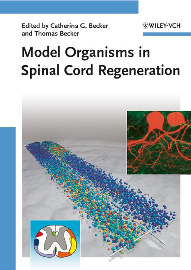 Обложка книги «Model Organisms in Spinal Cord Regeneration»