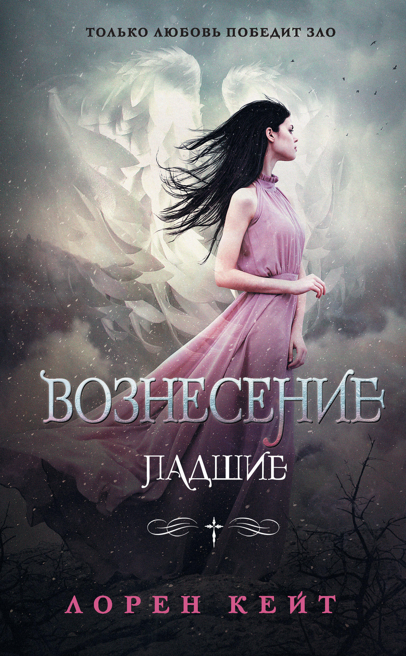 Обложка книги «Вознесение»