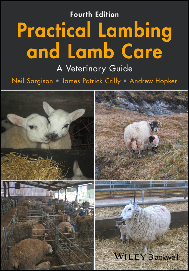 Обложка книги «Practical Lambing and Lamb Care»