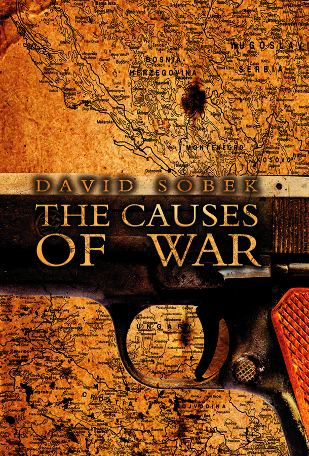 Обложка книги «The Causes of War»
