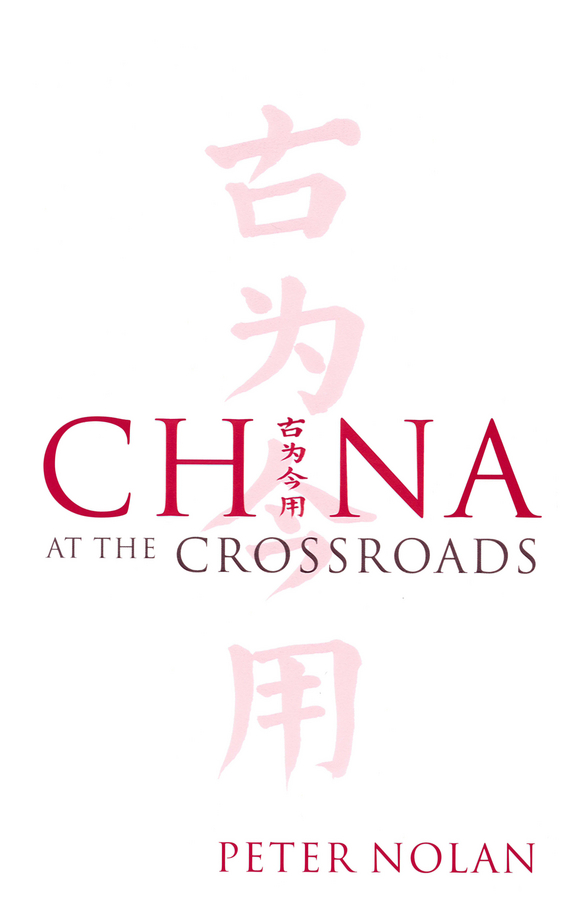 Обложка книги «China at the Crossroads»