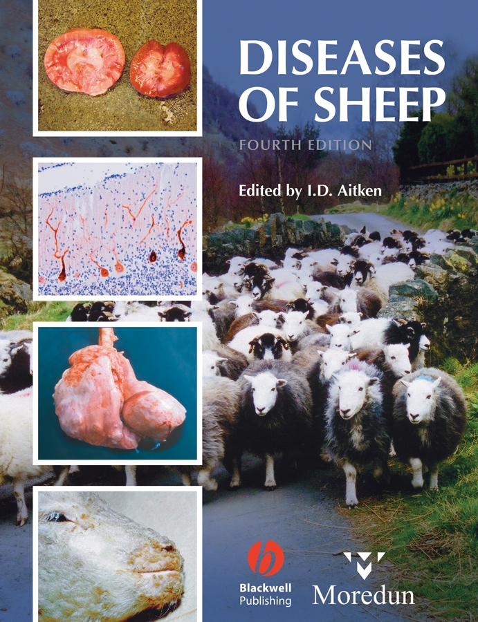 Обложка книги «Diseases of Sheep»