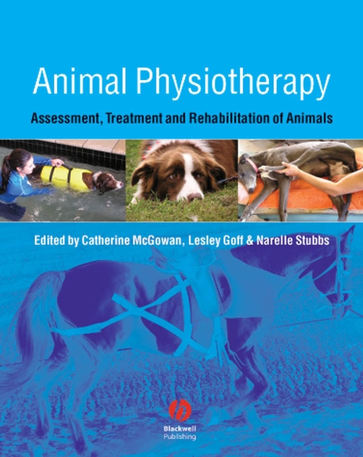 Обложка книги «Animal Physiotherapy»