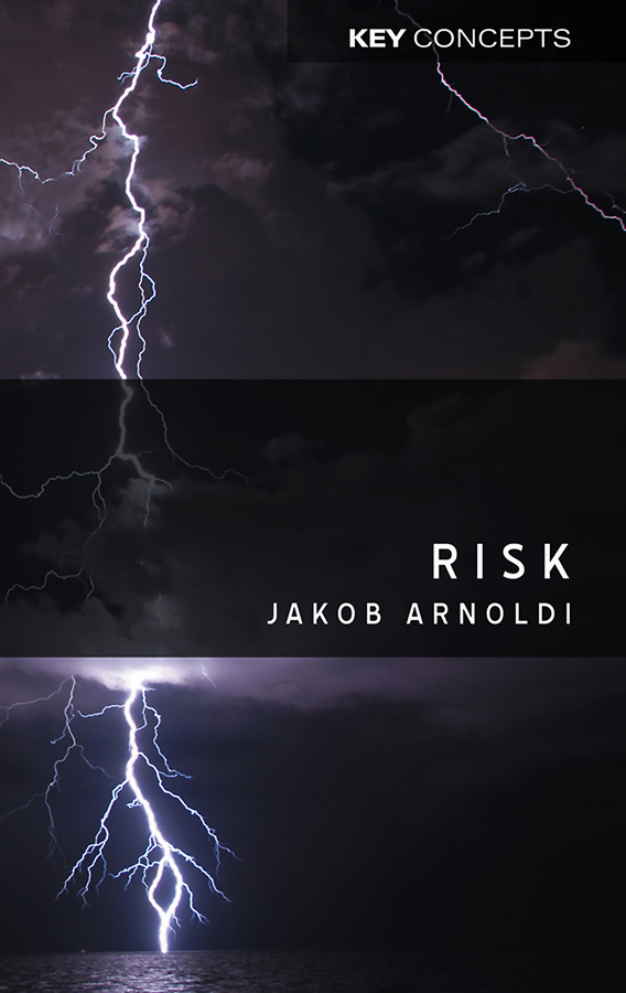 Обложка книги «Risk»