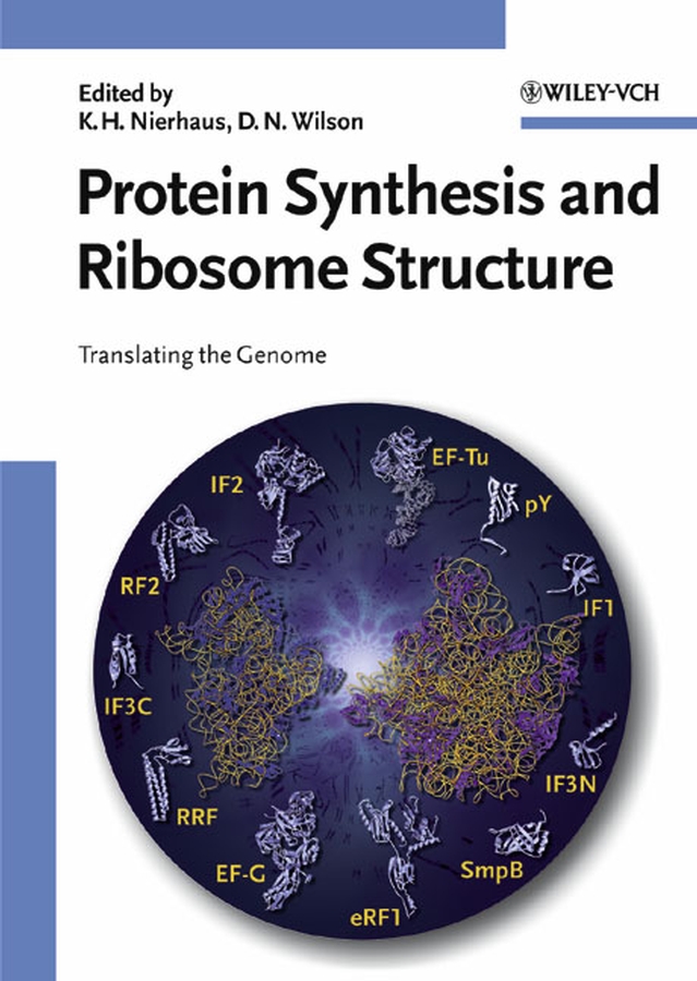 Обложка книги «Protein Synthesis and Ribosome Structure»