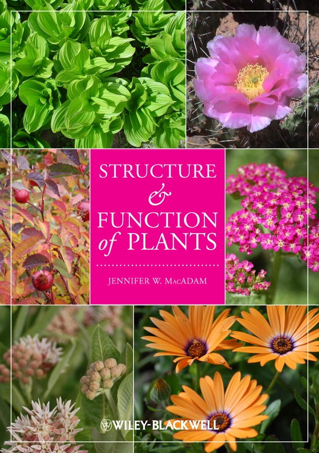 Обложка книги «Structure and Function of Plants»