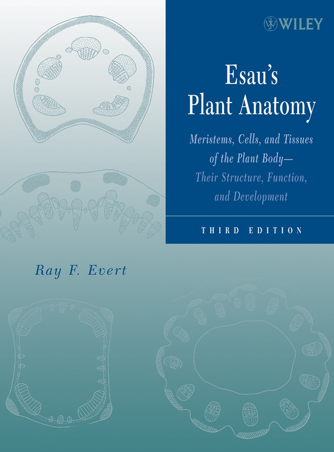 Обложка книги «Esau's Plant Anatomy»