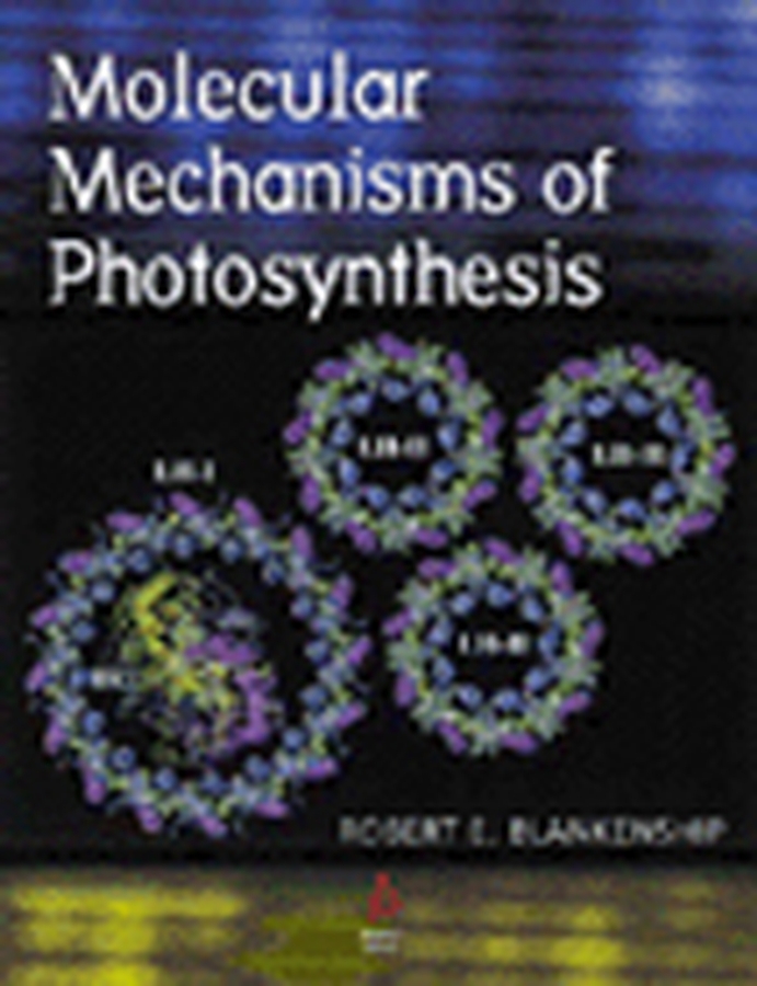 Обложка книги «Molecular Mechanisms of Photosynthesis»
