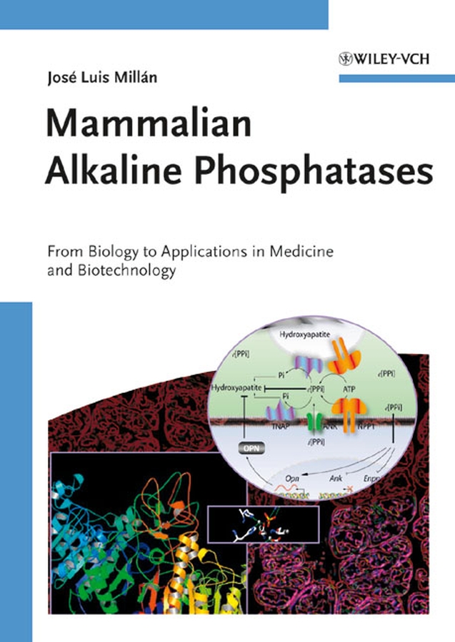 Обложка книги «Mammalian Alkaline Phosphatases»