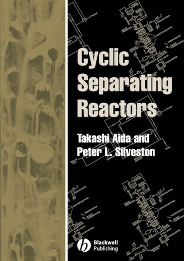Обложка книги «Cyclic Separating Reactors»