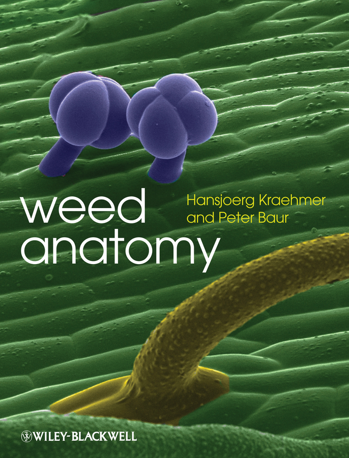 Обложка книги «Weed Anatomy»