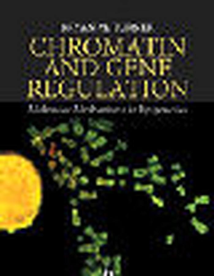 Обложка книги «Chromatin and Gene Regulation»