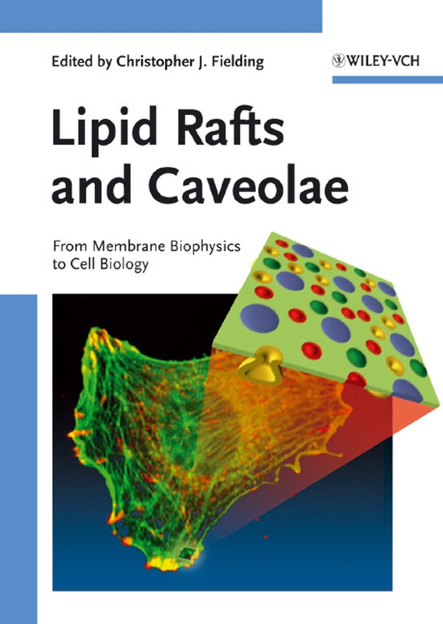 Обложка книги «Lipid Rafts and Caveolae»