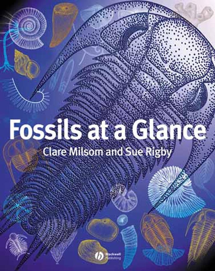 Обложка книги «Fossils at a Glance»