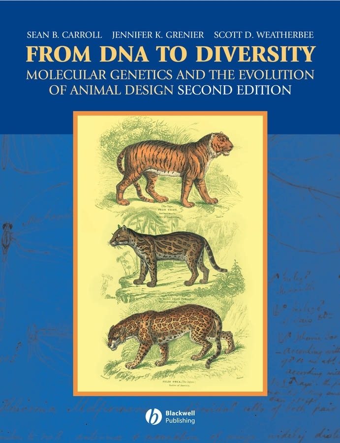 Обложка книги «From DNA to Diversity»