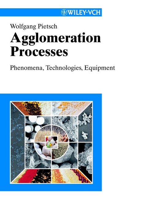 Обложка книги «Agglomeration Processes»