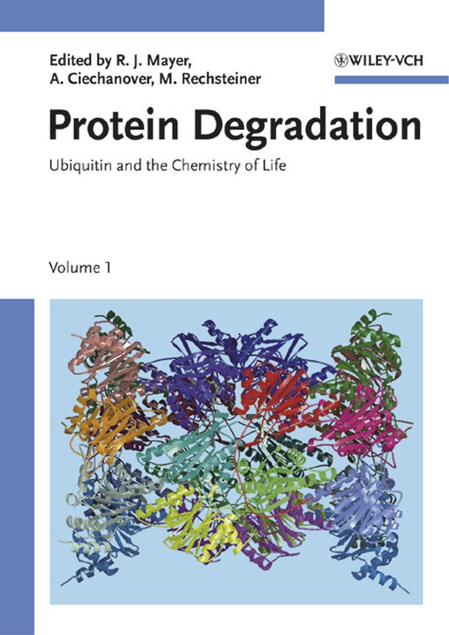 Обложка книги «Protein Degradation»