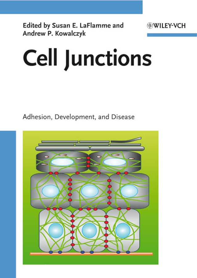 Обложка книги «Cell Junctions»