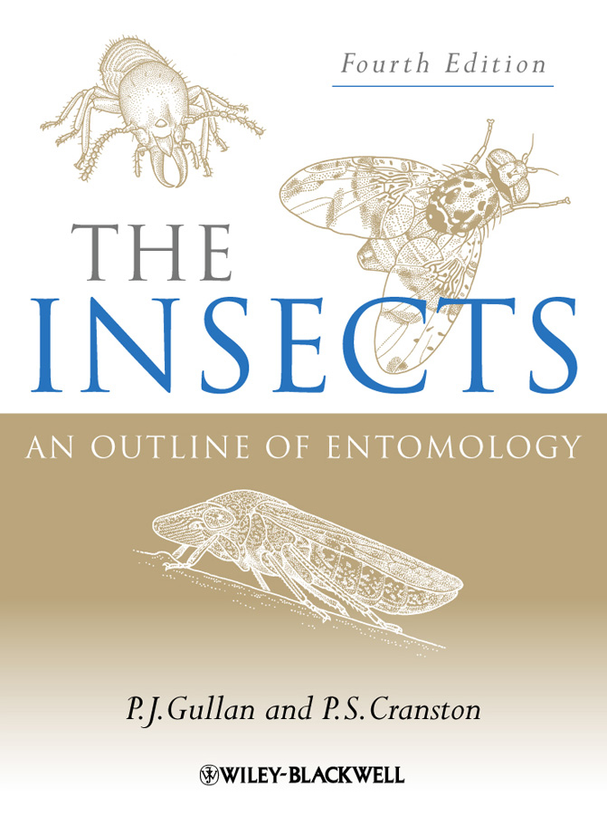 Обложка книги «The Insects»