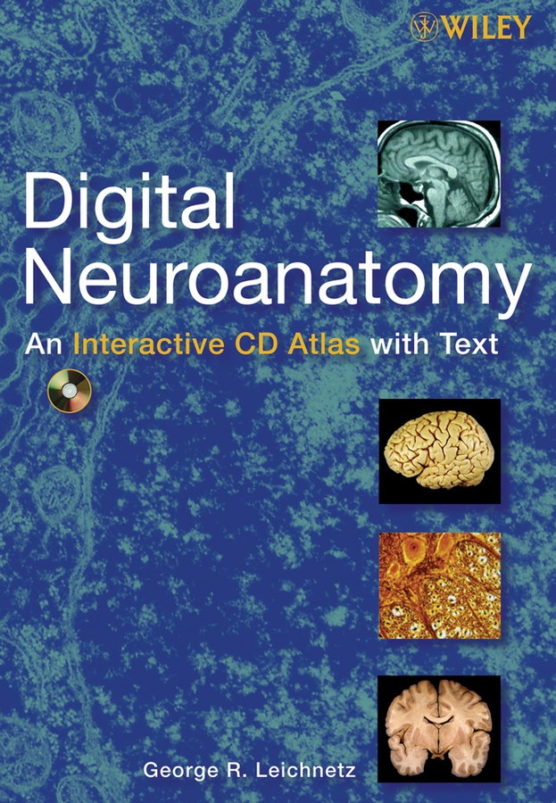 Обложка книги «Digital Neuroanatomy»