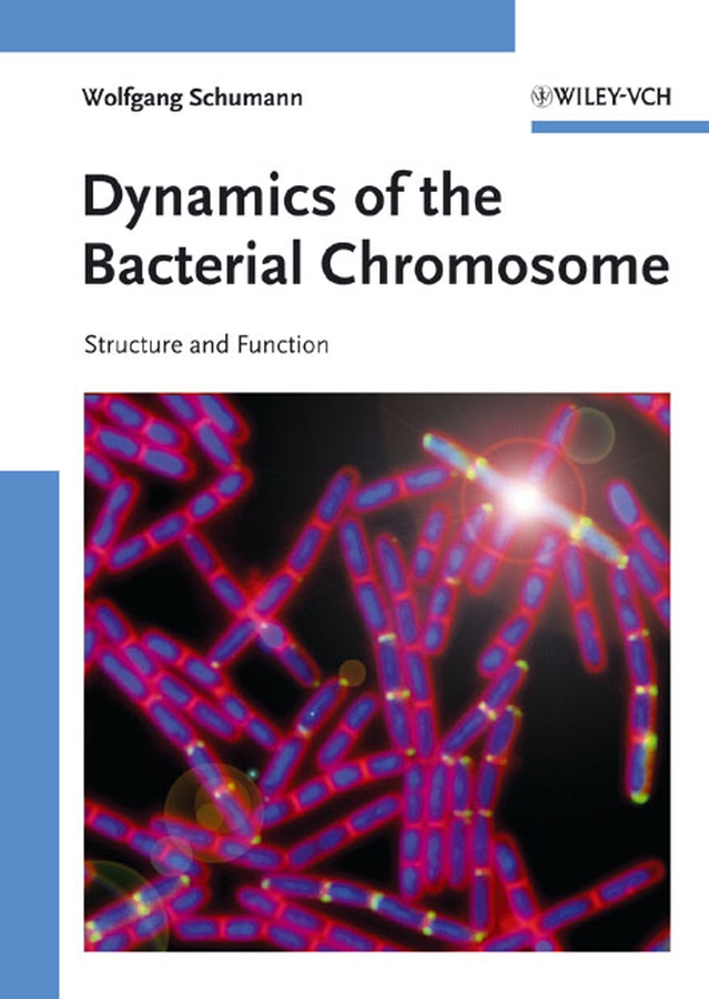 Обложка книги «Dynamics of the Bacterial Chromosome»