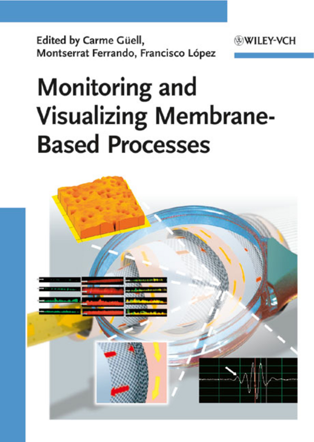 Обложка книги «Monitoring and Visualizing Membrane-Based Processes»