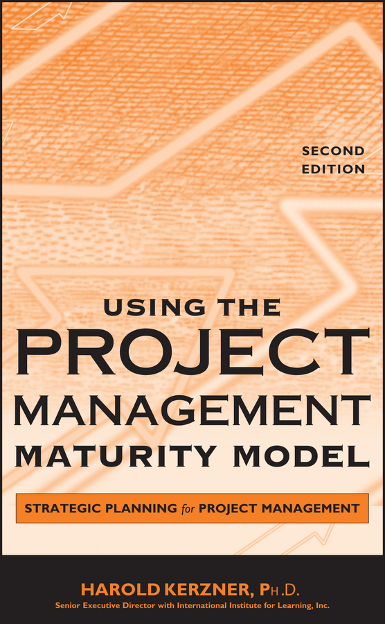 Обложка книги «Using the Project Management Maturity Model»